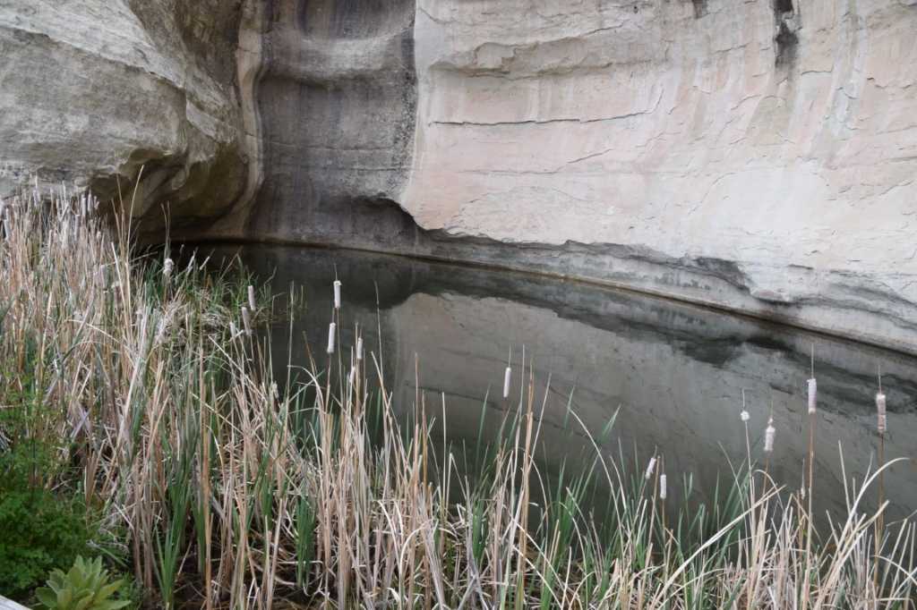 DSC_0702Mittel_.JPG
